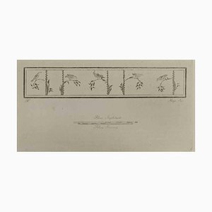 Luigi Aloja, Sparrows on Boughs, Roman Fresco, Etching, 18th Century-ZCI-1760659