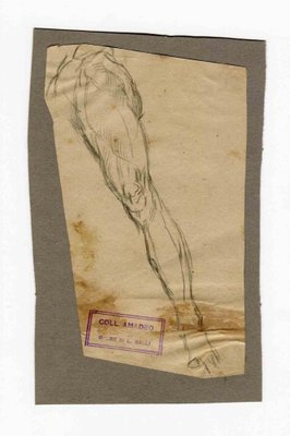 Luigi Galli, Leg, Original Drawing, Late 19th-Century-ZCI-1165732