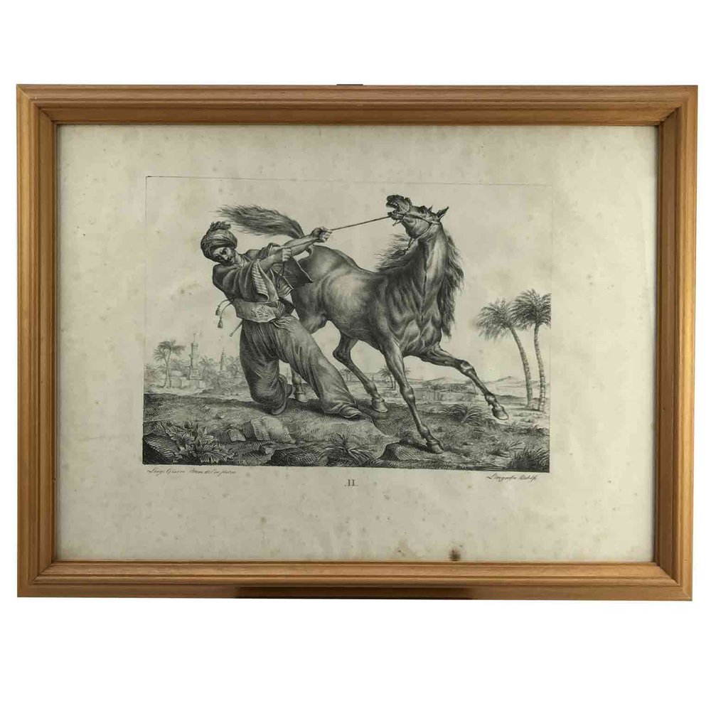 Luigi Giarré, Horse Breeds Known in Europe, Florence, 1822, Lithographs, Framed, Set of 9