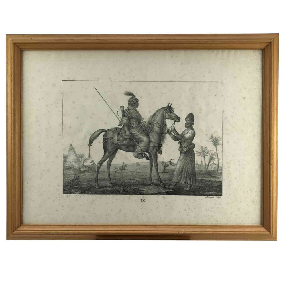 Luigi Giarré, Horse Breeds Known in Europe, Florence, 1822, Lithographs, Framed, Set of 9