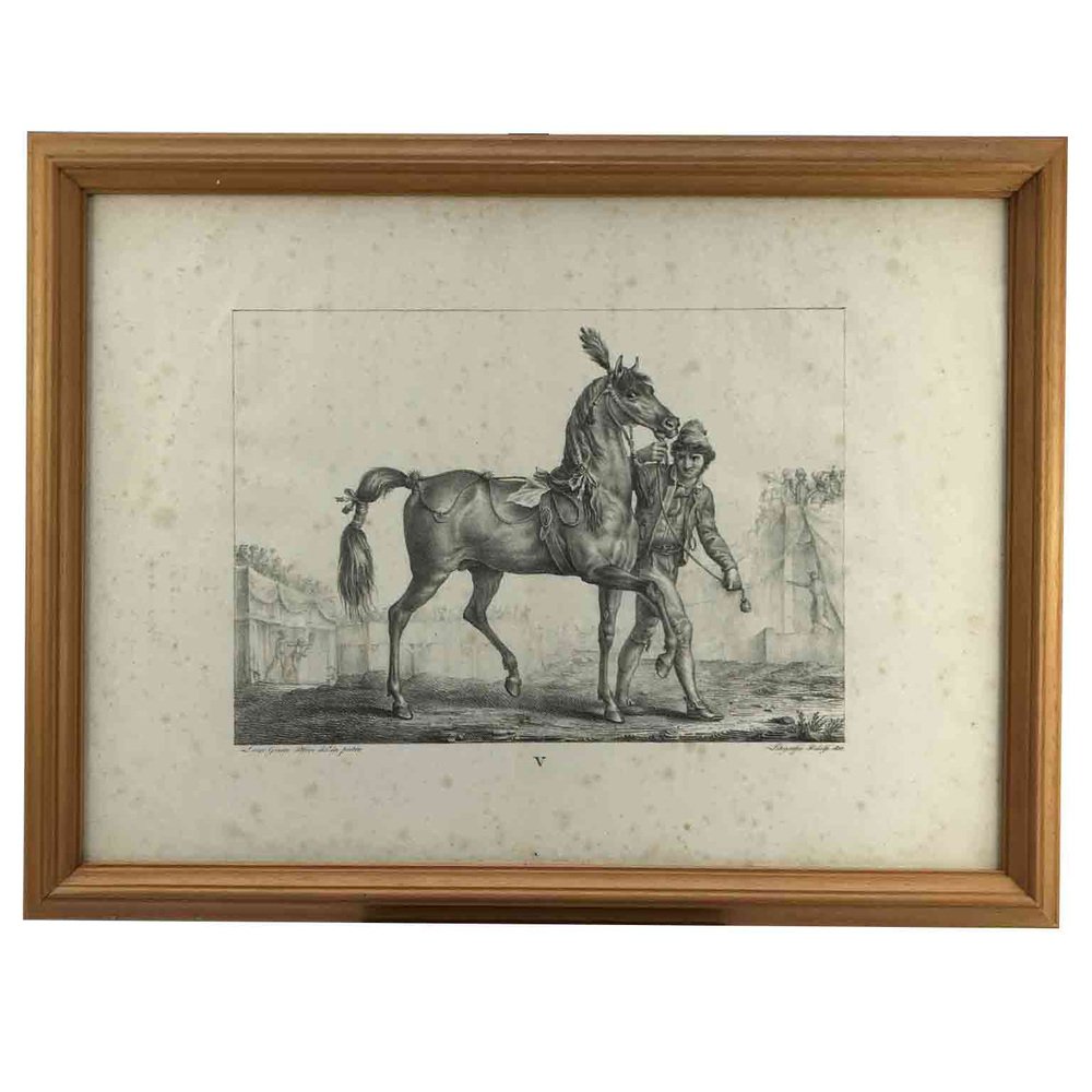 Luigi Giarré, Horse Breeds Known in Europe, Florence, 1822, Lithographs, Framed, Set of 9