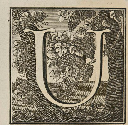 Luigi Vanvitelli, Letter of the Alphabet U, Etching, 18th Century-ZCI-2024979