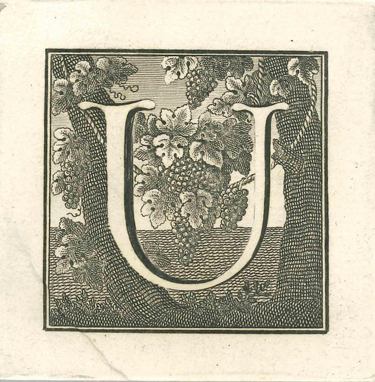 Luigi Vanvitelli, Letter U, Etching, 18th Century