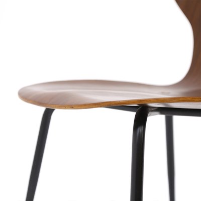 Lulli Chair by Carlo Ratti for Industria Legni Curvati, 1950s-EZ-1173076