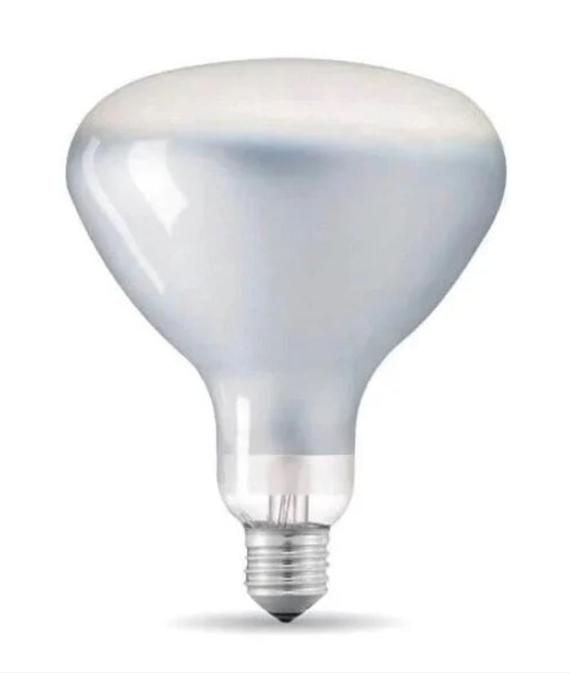 [국내재고] RF32366 LED Lamp 12W E27 220-240V 2700K R125