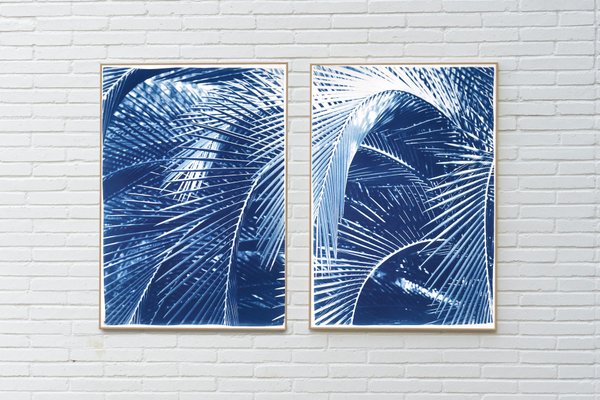 Lush Palm Bushes, 2020, Cyanotype-RWC-1284627