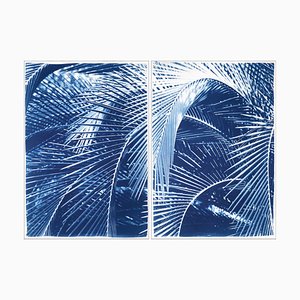 Lush Palm Bushes, 2020, Cyanotype-RWC-1284627