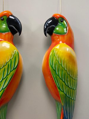 Macaws in Fiberglass & Epoxy, Italy, 1970s, Set of 2-NUC-1424810