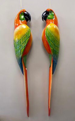 Macaws in Fiberglass & Epoxy, Italy, 1970s, Set of 2-NUC-1424810