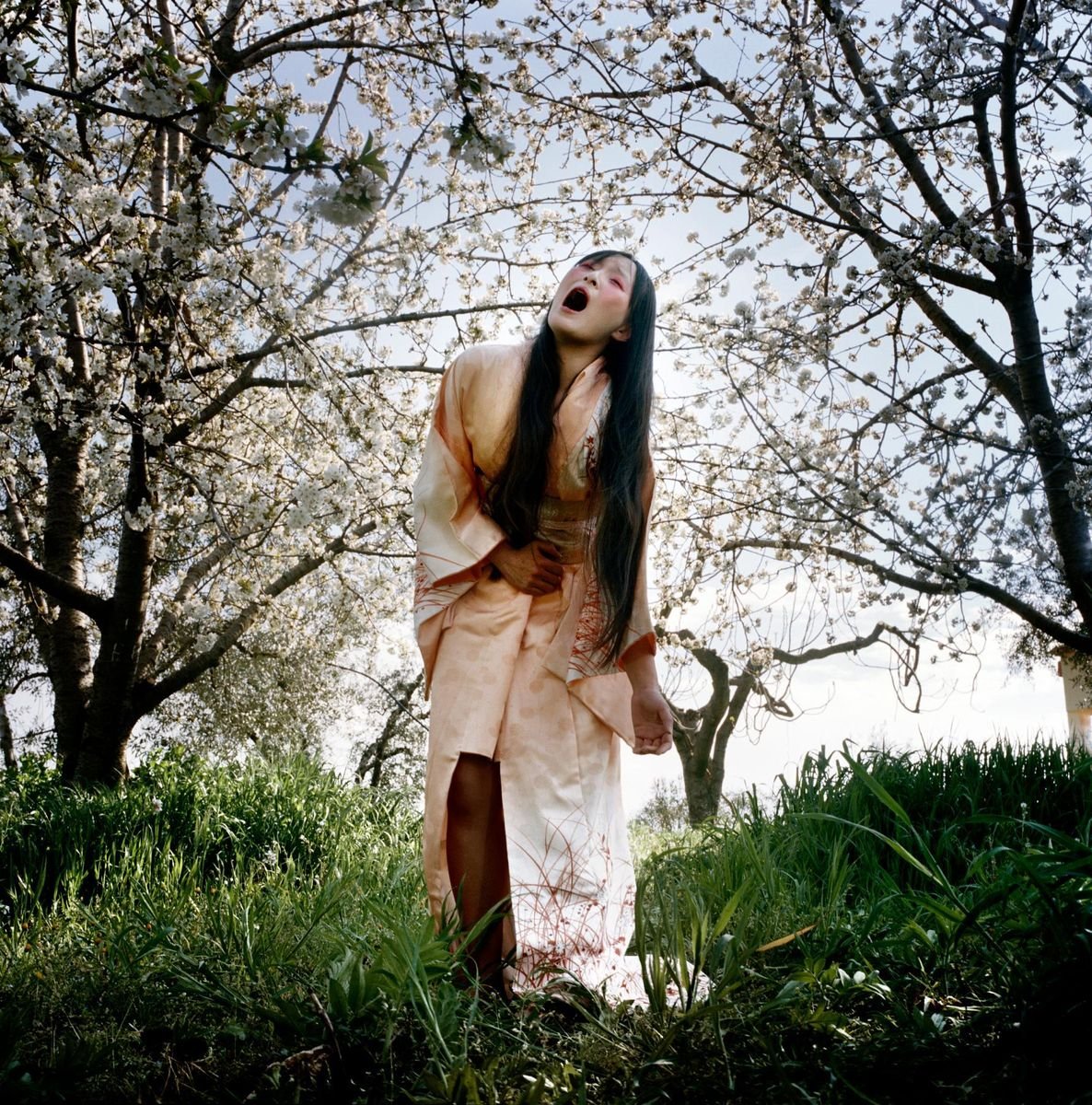 Madama Butterfly - Original Limited Edition Photograph by Angelo Cricchi 2010