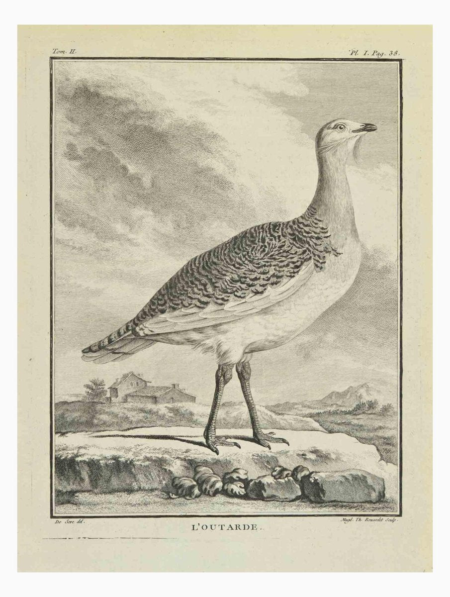 Madeline Rousselet, L'Outarde, Etching, 1771