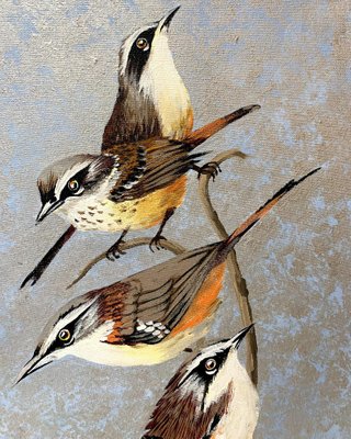 Magdalena Nalecz, Grey Antbird and Slaty Bristlefront, 2021, Acrylic on Canvas-XHG-1214551