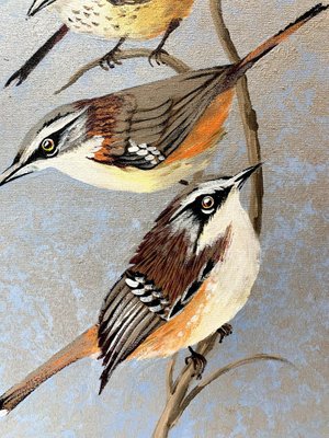 Magdalena Nalecz, Grey Antbird and Slaty Bristlefront, 2021, Acrylic on Canvas-XHG-1214551