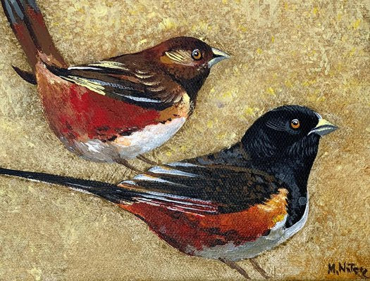 Magdalena Nalecz, Large Ground Finch, 2021, Acrylic on Canvas-XHG-1214550