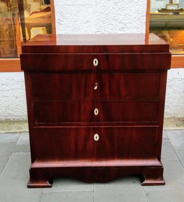 Mahogany Commode by Biant Company-FSD-1091955