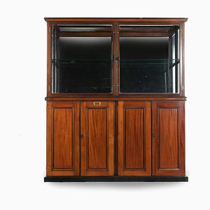 Mahogany Display Case of the Great Zoological Museum of Cambridge-NQ-624891