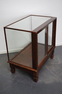 Mahogany Museum / Shop Display Cabinet, Early 20th Century-XO-997064