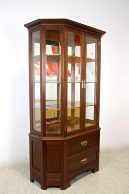 Mahogany Vitrine Cabinet with Faceted Glass, Austria, 1910s-TQA-1321900