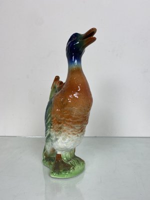 Majolica Duck Shaped Pitcher, St. Clement France-WZZ-971115