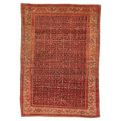 Malayer Rug-YMM-1061681