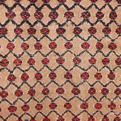 Malayer Rug in Cotton & Wool Heavy Knot, Middle East-VMM-2033337