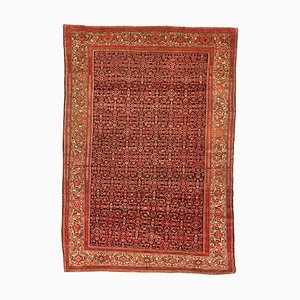 Malayer Rug-YMM-1061681