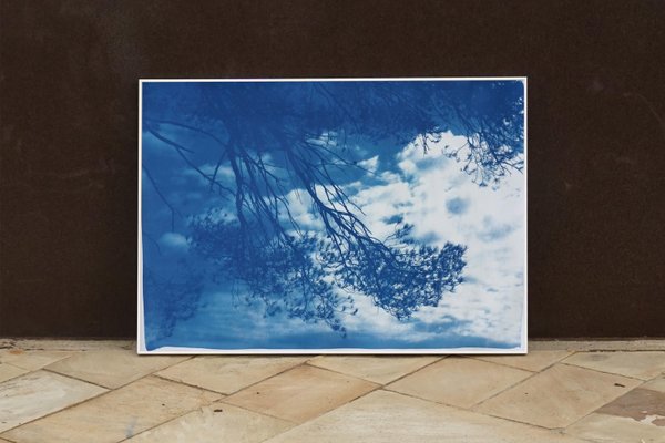 Malibu Pine Sea View, Cyanotype, 2019-RWC-789738