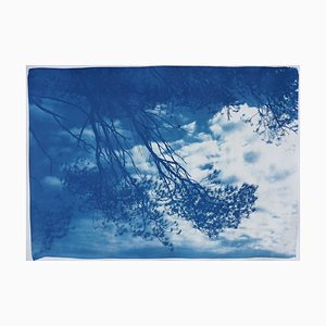 Malibu Pine Sea View, Cyanotype, 2019-RWC-789738