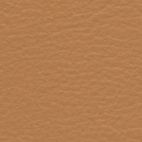 Mandarin Duck (FE4034)