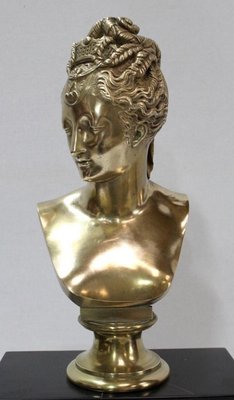 Marble and Bronze Bust of Diane De Poitiers by J. Goujon-RVK-1081487