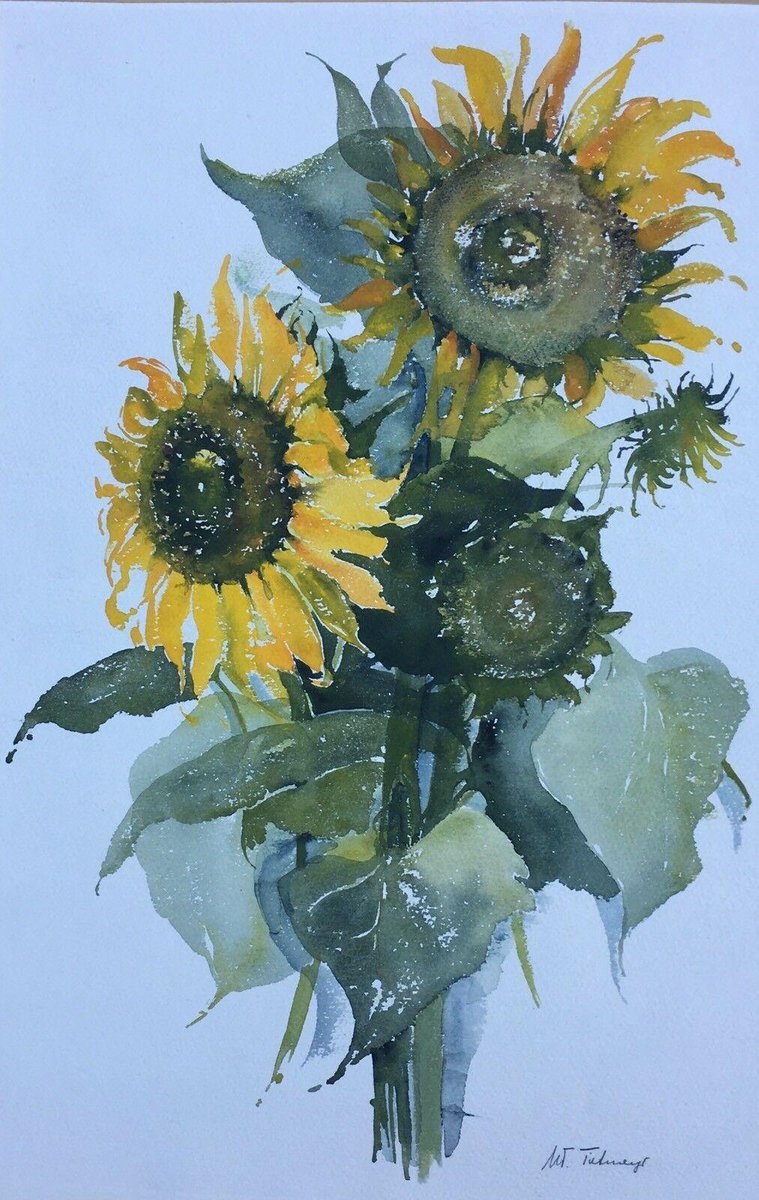 Maria-Therese Tietmeyer, Sunflower Kronberg, Watercolor