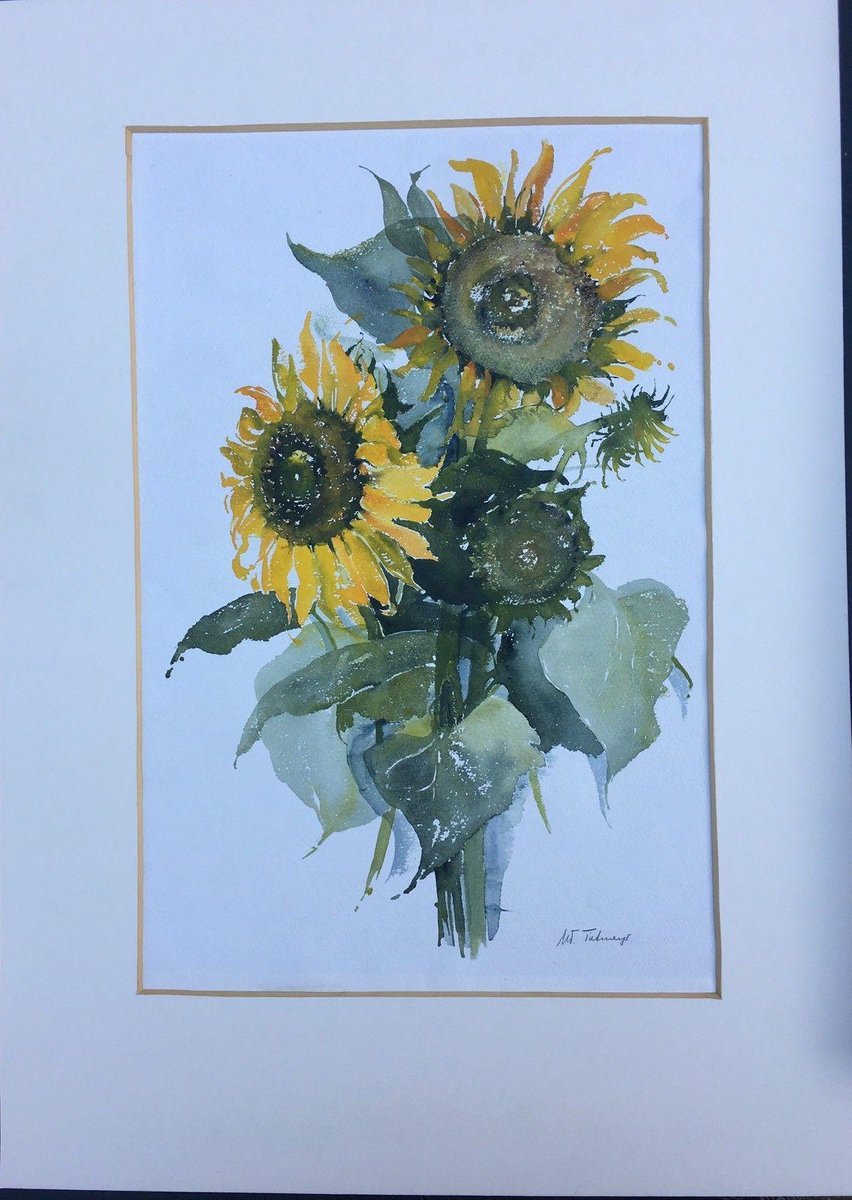 Maria-Therese Tietmeyer, Sunflower Kronberg, Watercolor