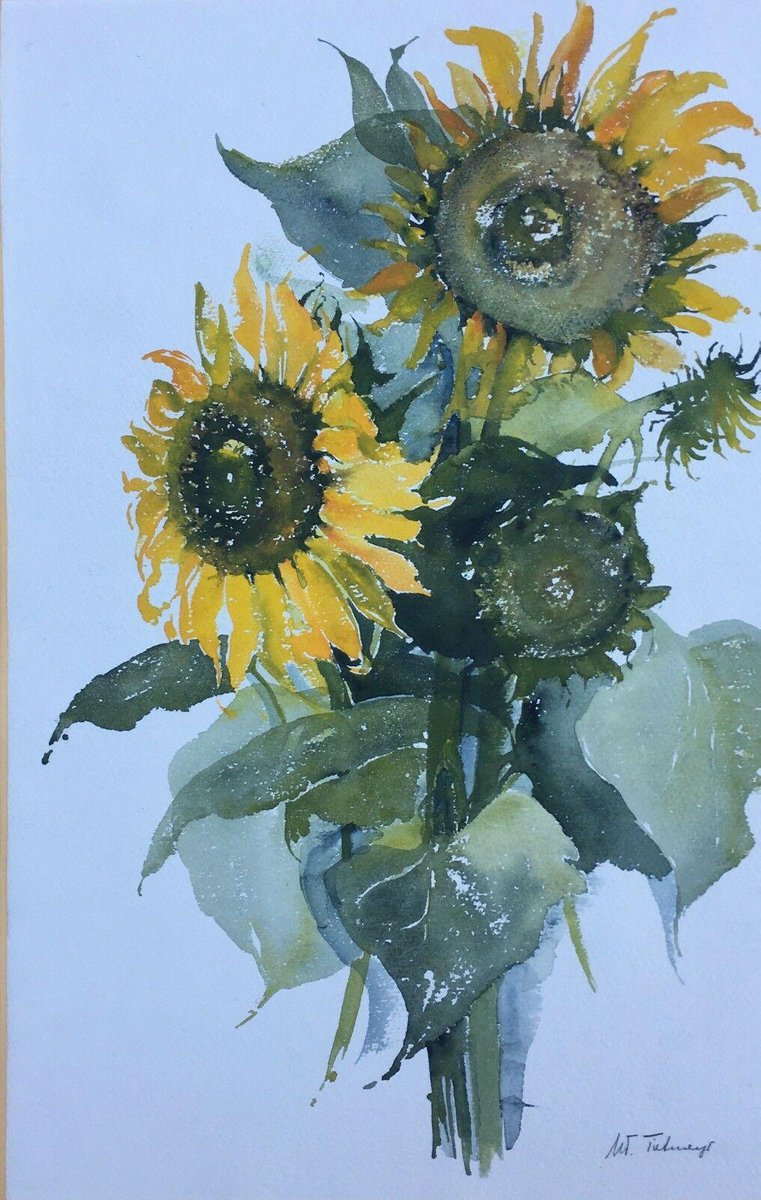 Maria-Therese Tietmeyer, Sunflower Kronberg, Watercolor