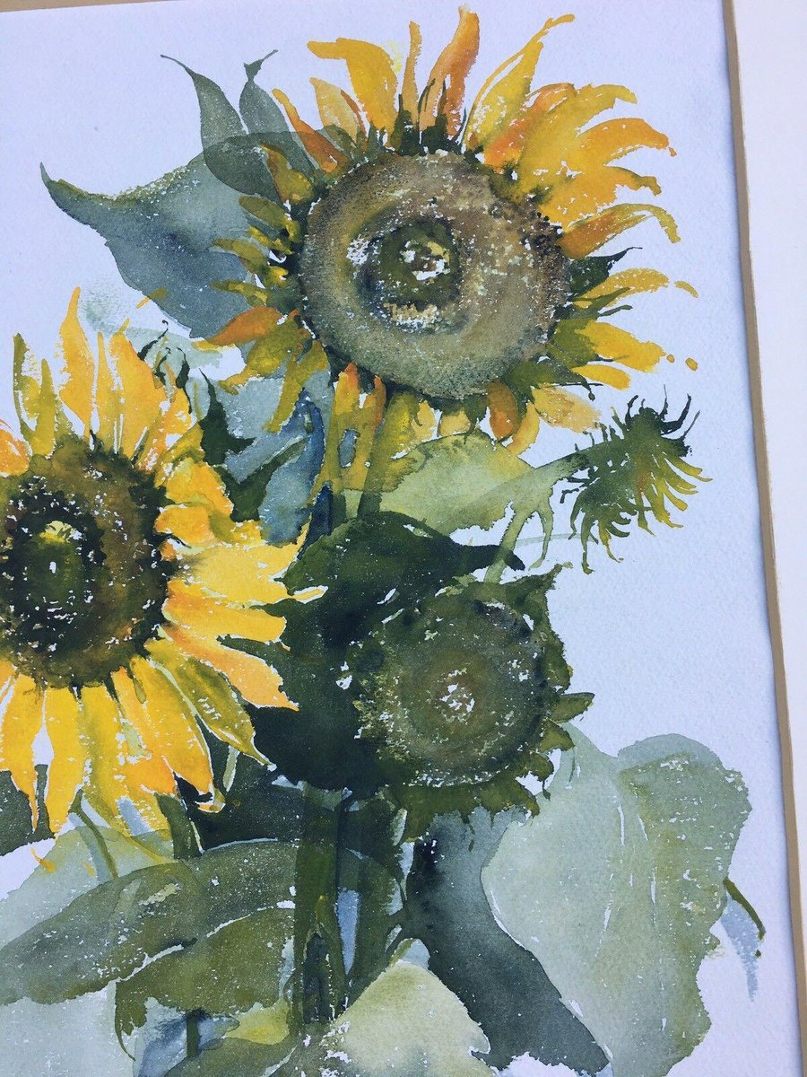 Maria-Therese Tietmeyer, Sunflower Kronberg, Watercolor