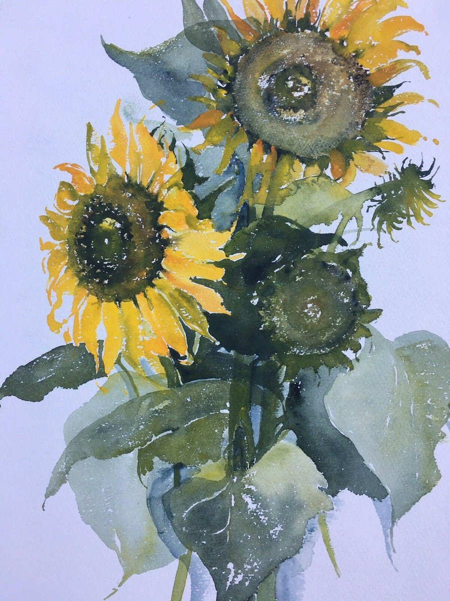 Maria-Therese Tietmeyer, Sunflower Kronberg, Watercolor