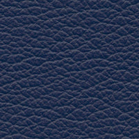 Mariana Trench (VP510)