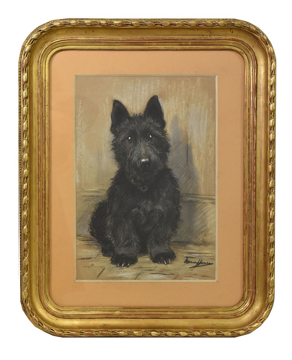 Marion Rodger Hamilt Harvey, Dogs Portrait, Pastel on Paper, 20th Century, Framed