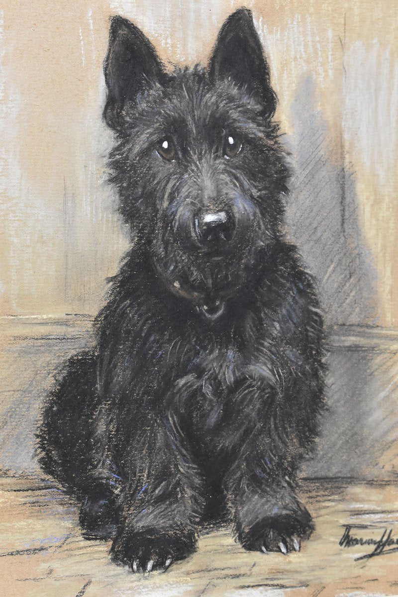 Marion Rodger Hamilt Harvey, Dogs Portrait, Pastel on Paper, 20th Century, Framed