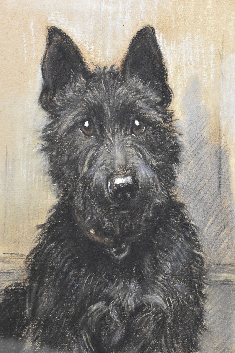 Marion Rodger Hamilt Harvey, Dogs Portrait, Pastel on Paper, 20th Century, Framed