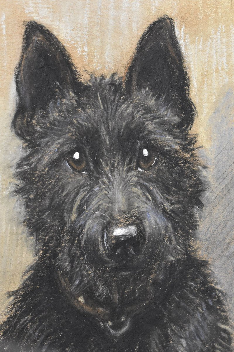 Marion Rodger Hamilt Harvey, Dogs Portrait, Pastel on Paper, 20th Century, Framed