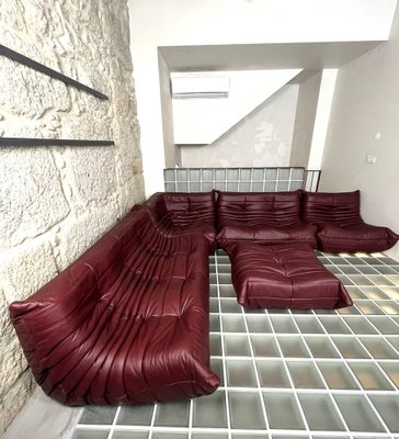 Maroon Leather Togo Sofa Set by Michel Ducaroy for Ligne Roset, Set of 5-LRD-1697657