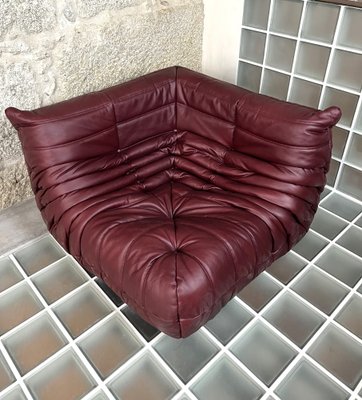 Maroon Leather Togo Sofa Set by Michel Ducaroy for Ligne Roset, Set of 5-LRD-1697657