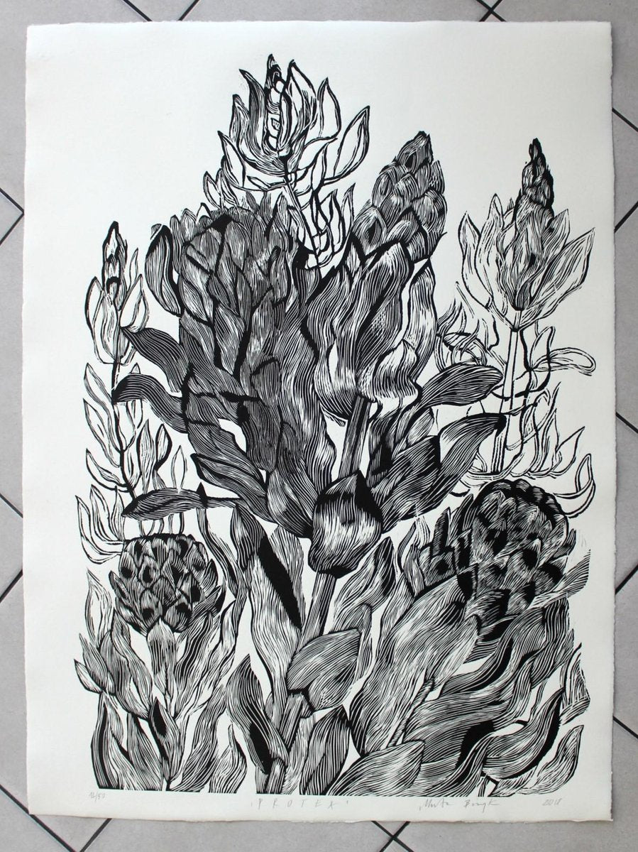 Marta Sh, Protea, 2018