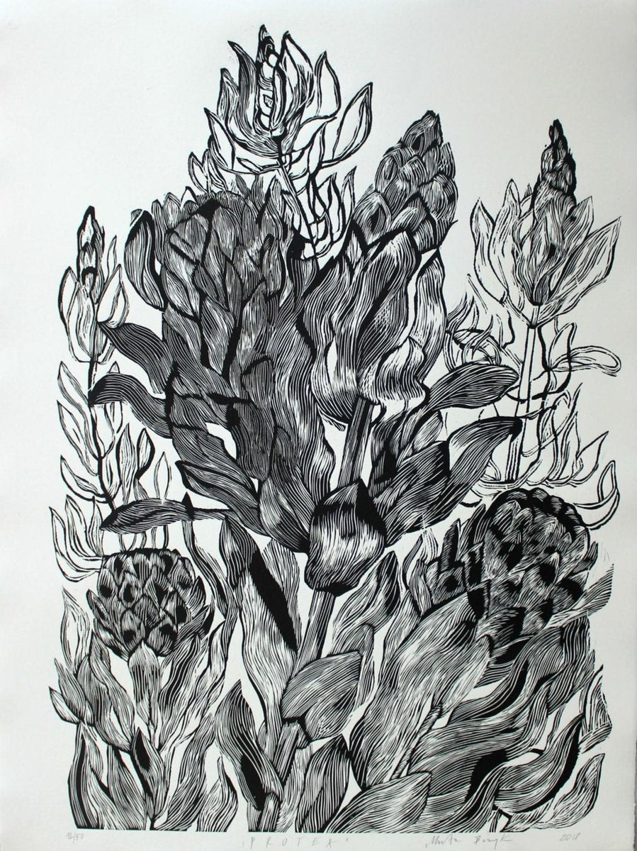 Marta Sh, Protea, 2018