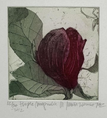 Marta Wakula, Magnolia Purple 3, 2012-XHG-937283