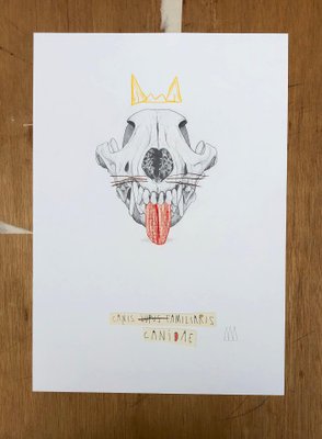 Mateo Andrea, CANIS CANIDAE 2020, 2020, Graphite, Colored Pencil & Collage on Paper-ICD-726786