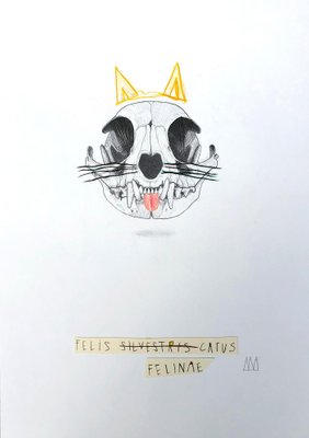 Mateo Andrea, FELIS CATUS 2020, 2020, Graphite & Collage on Paper-ICD-726802