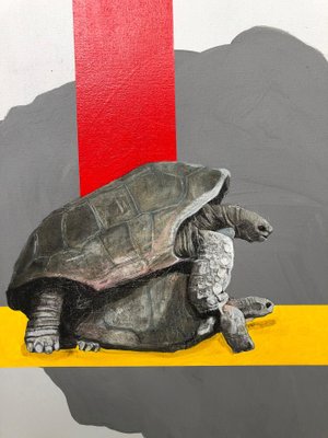 Mateo Andrea, Tortugas 2020, 2020, Graphite, Colored Pencil & Collage on Paper-ICD-726794