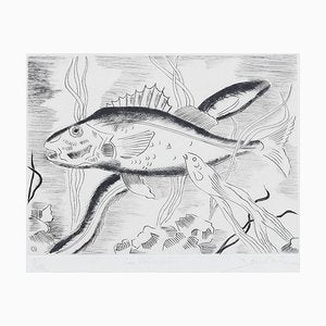 Maurice Bouval - Fish - Original Etching - 1960s-ZCI-823532