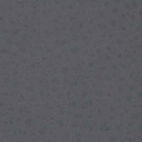 MAYA 791
